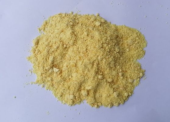 China Hydrochlorid-chemischer Rohstoff-Vermittler Nisodipine und Ambroxol von Nimodipine fournisseur